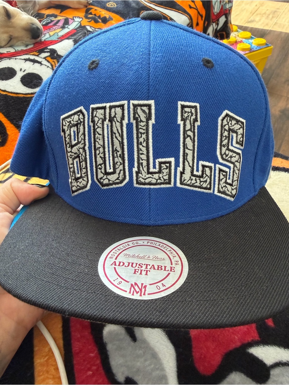 Blue and Black Adults BULLS' Adjustable Cap